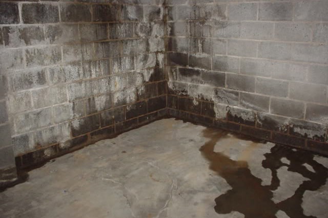 dayton-stucco-damp-basement